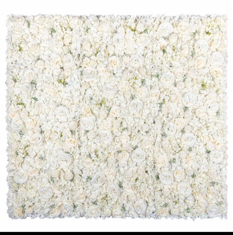 Cream White Flower Wall